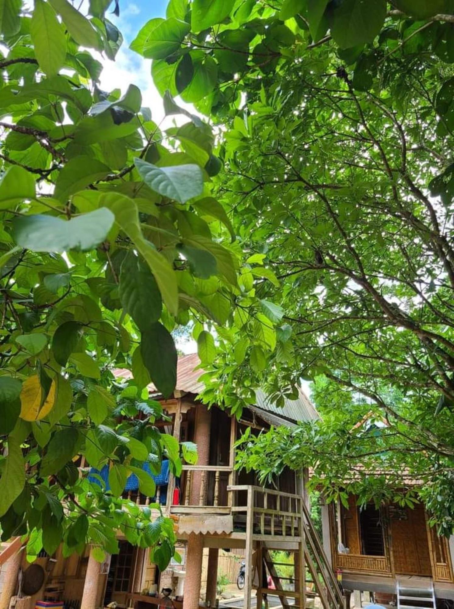 Homestay Ho Son - Thac Anor A Luoi Екстер'єр фото